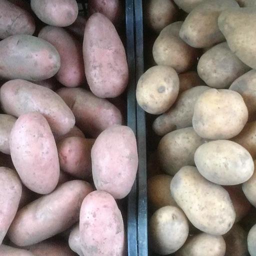 Kartupeļi (1 kg)